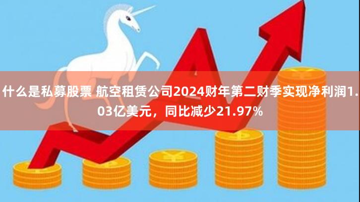 什么是私募股票 航空租赁公司2024财年第二财季实现净利润1.03亿美元，同比减少21.97%